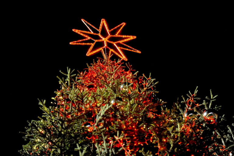 L’albero di Natale del Campidoglio si illumina per celebrare il 75° anniversario della Costituzione Italiana