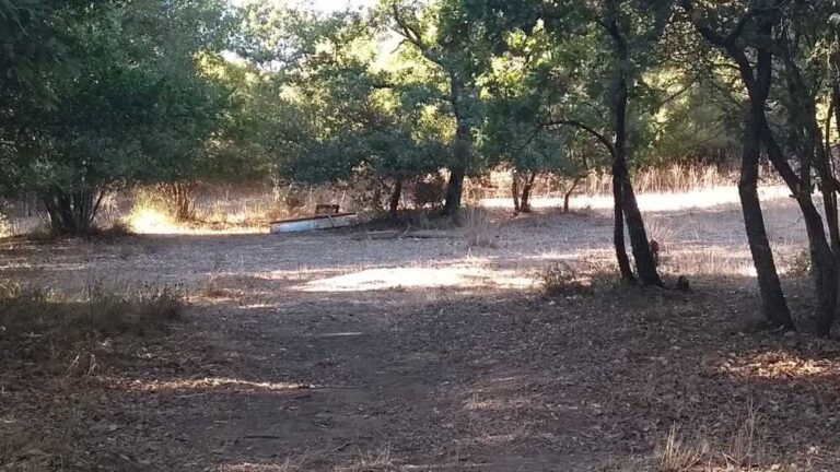 Accessibilità universale al Patrimonio naturalistico del Lazio: Cerveteri presa ad esempio per la Legge di stabilità regionale