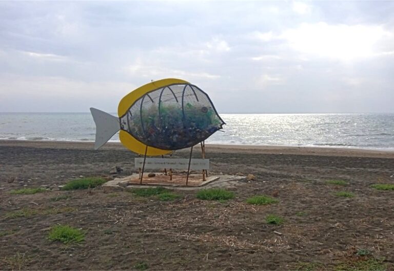 Marina di Cerveteri, cittadini        contro il pesce mangia plastica