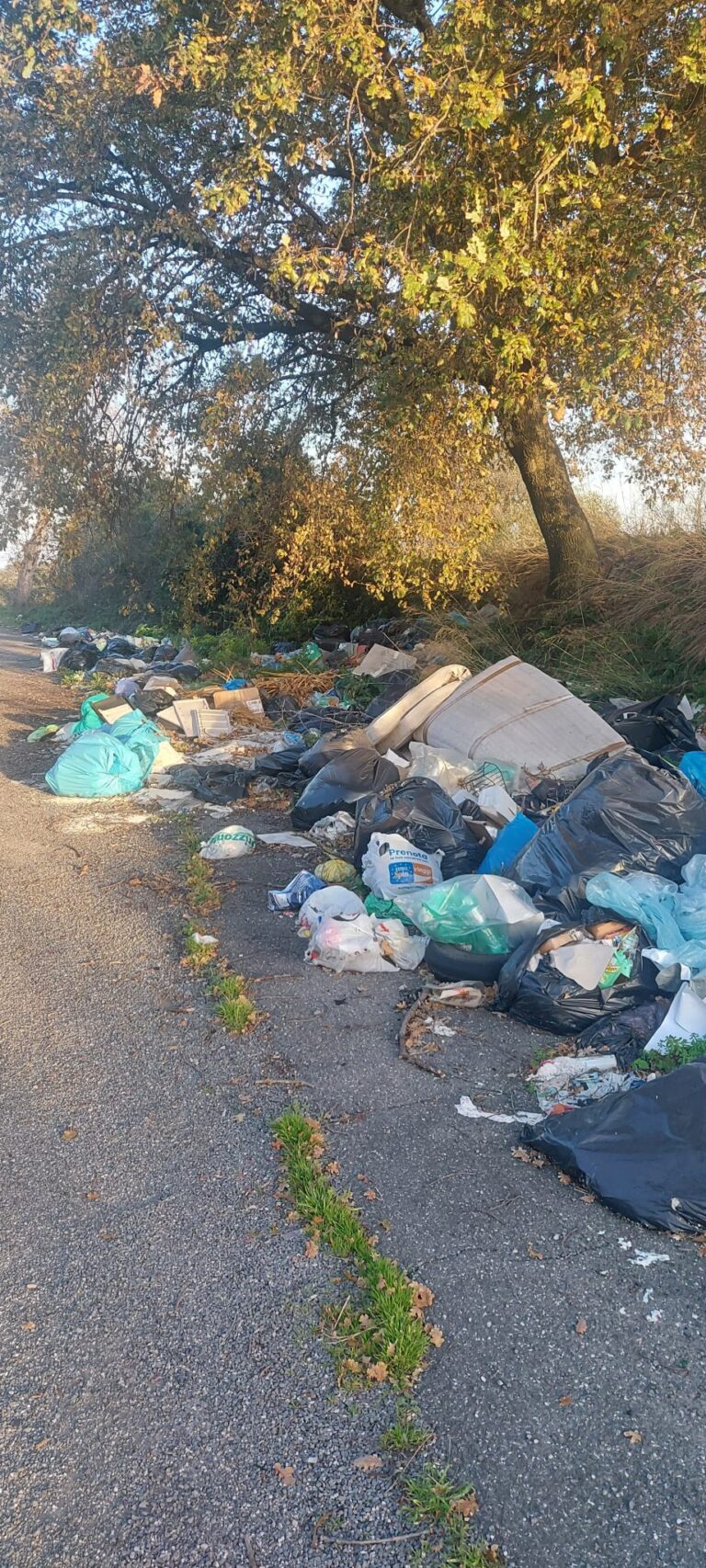 Rifiuti sulla Settevene Palo, il movimento 5 Stelle di Cerveteri invia una segnalazione alla Procura di Civitavecchia